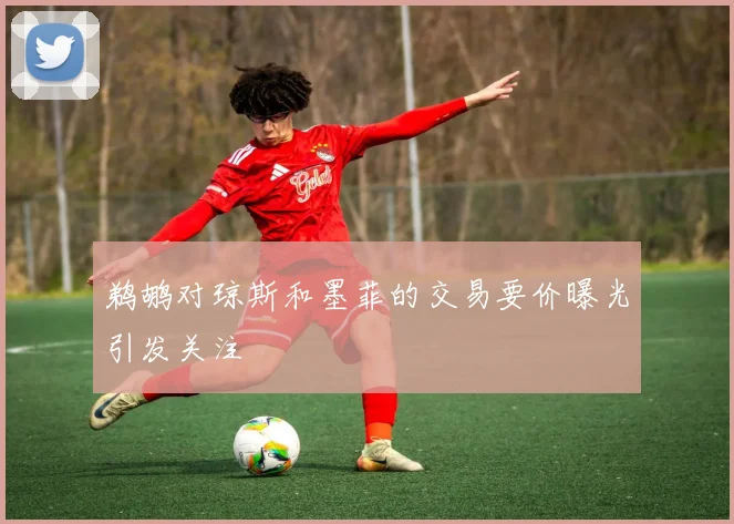 鹈鹕对琼斯和墨菲的交易要价曝光引发关注