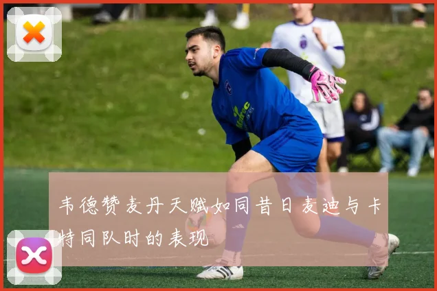 韦德赞麦丹天赋如同昔日麦迪与卡特同队时的表现