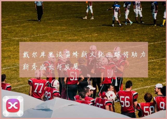戴尔库里谈黄蜂新文化三球将助力新秀成长与发展